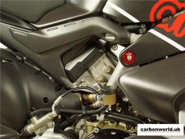 https://shared1.ad-lister.co.uk/UserImages/dccdce45-84a2-4984-a788-dd7d038e16de/Img/carbonworldv4/carbonworld-cover-for-engine-panigale-v4-.jpg