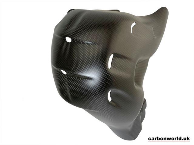 CARBON EXHAUST HEAT SHIELD EURO5 FOR DUCATI PANIGALE V4 2021 ONWARDS